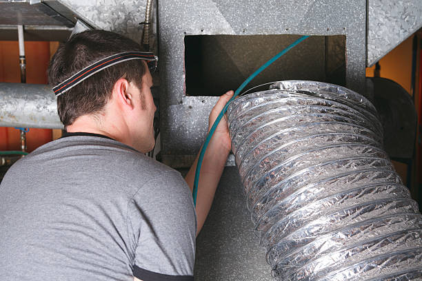 Air Duct Mold Removal in Peppermill Village, MD